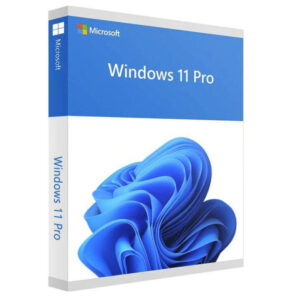 Microsoft Windows 11 Pro (64 Bit) OEM DVD